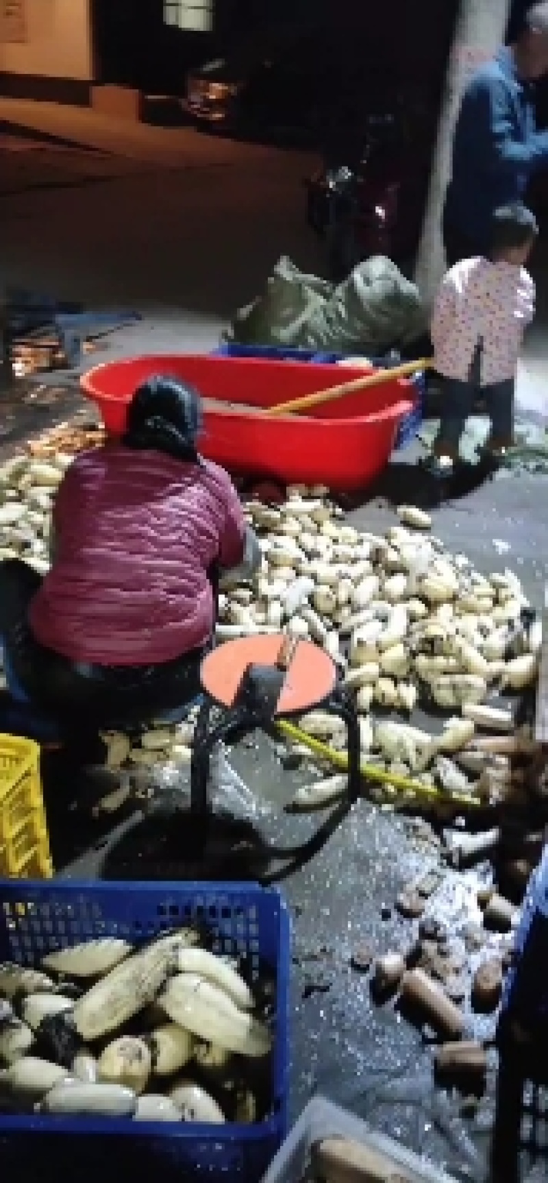 莲藕新鲜藕粉藕粉加工藕粉边角料，适合加工厂合作