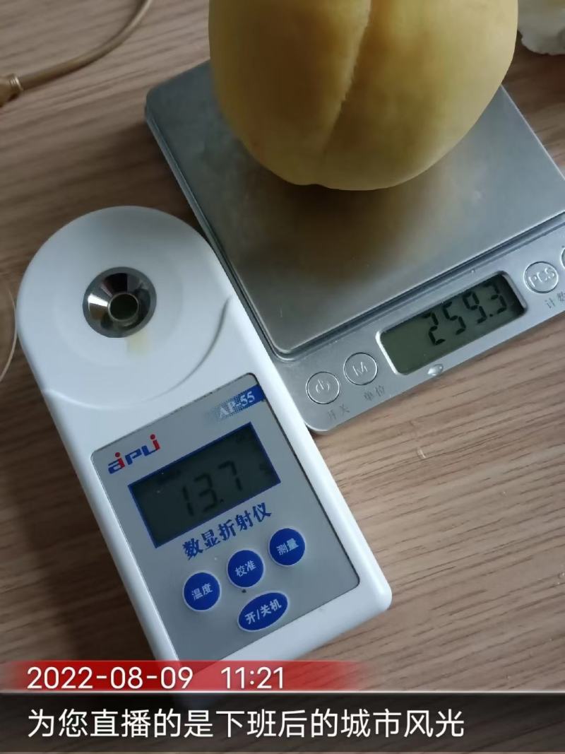 锦绣黄桃毛桃产地直发品质保证全国发货欢迎来电咨询