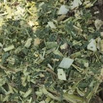 青储玉米饲料，全株玉米秸秆，大量供应全国