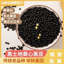 黑豆（黄仁、青仁绿仁、大粒、中粒、小粒）黑豆生产企业