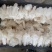 食用菌，贵州山珍，贵州红托竹荪鲜品竹荪鲜品，