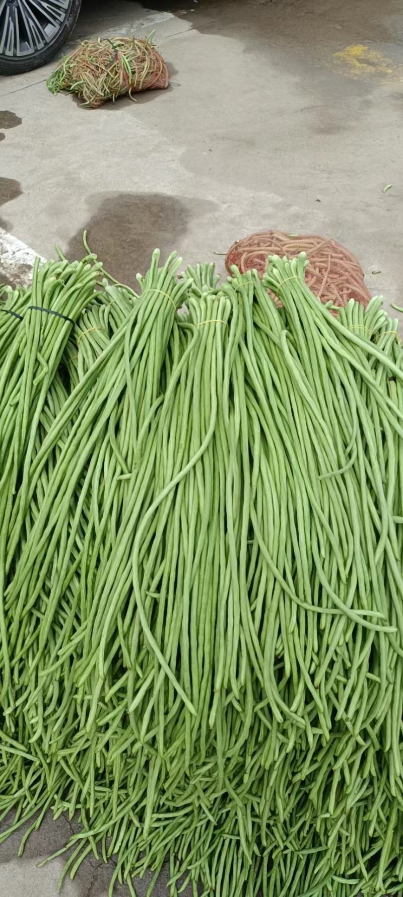【实力】精品长豆角，白条豆角，一手货源，全国发货，保证质量