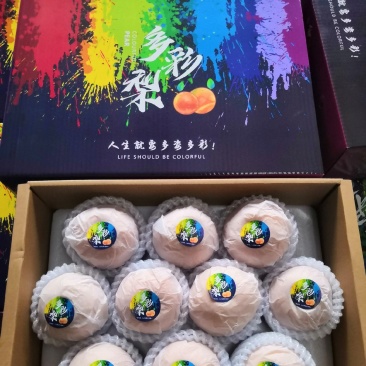 新鲜秋月梨南水梨，3000亩大基地！品质统一稳定！集采