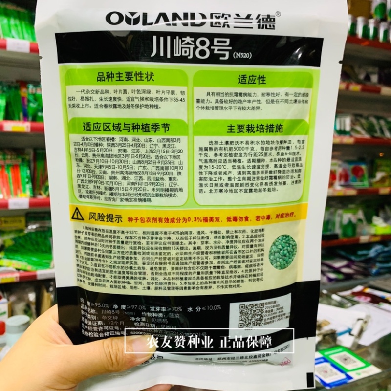 一代杂交新品种川崎8号耐寒菠菜种子春秋越冬蔬菜种子