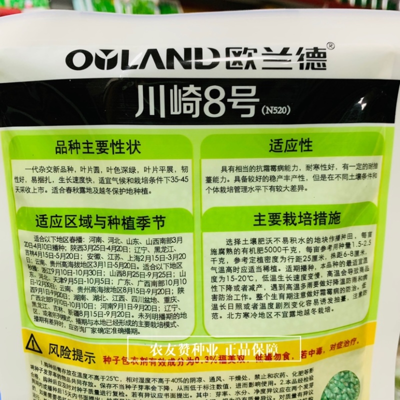 一代杂交新品种川崎8号耐寒菠菜种子春秋越冬蔬菜种子