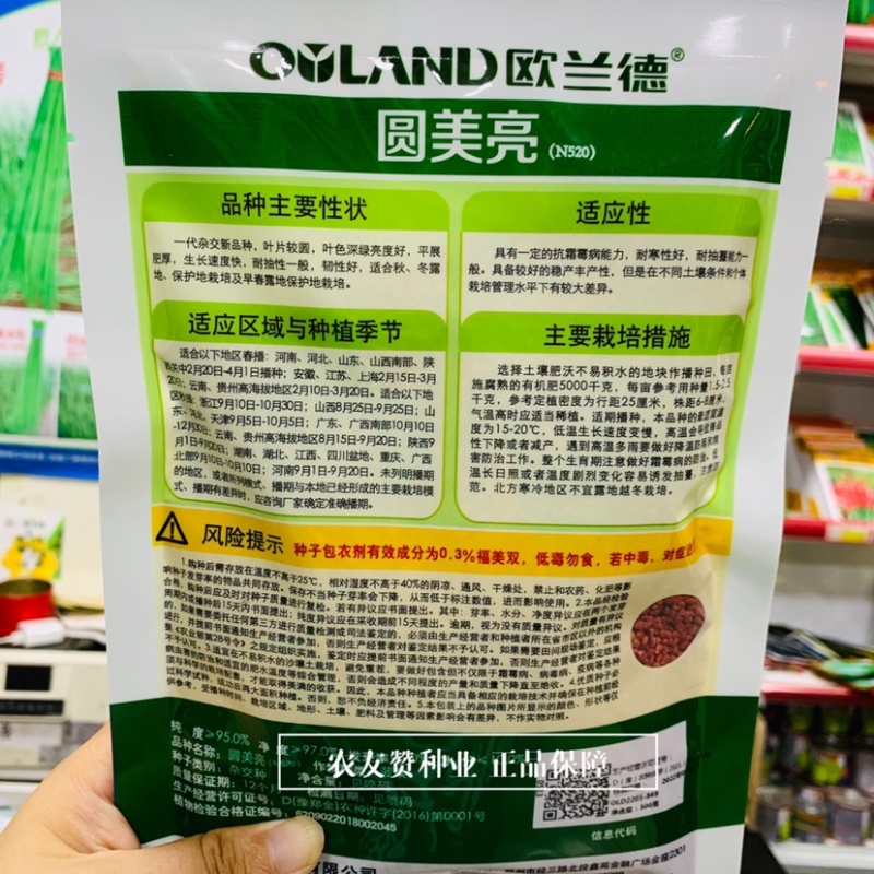 圆美亮菠菜一代杂交新品种平展肥厚耐寒性好秋冬早春菠菜种子