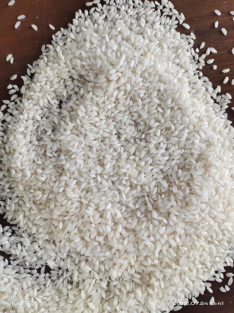 缅甸进口大米碎米