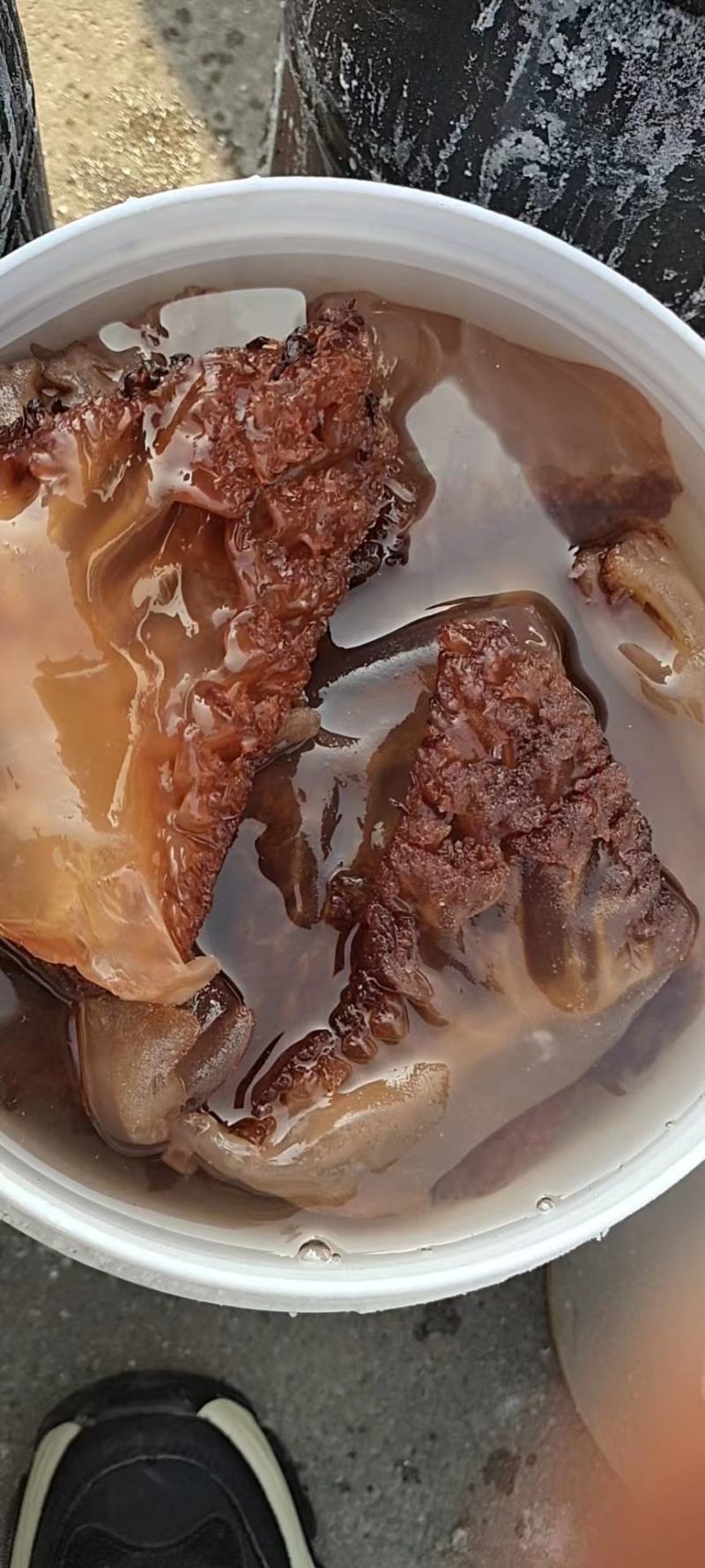 海蜇角，硬度好，桶装的，清脆爽口好吃！一桶净8斤