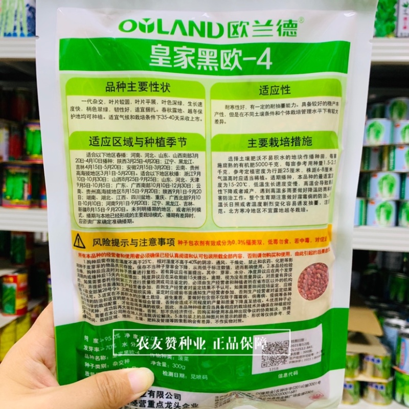 黑油亮菠菜种子直立紧凑易捆扎，皇家黑欧-4菠菜种子