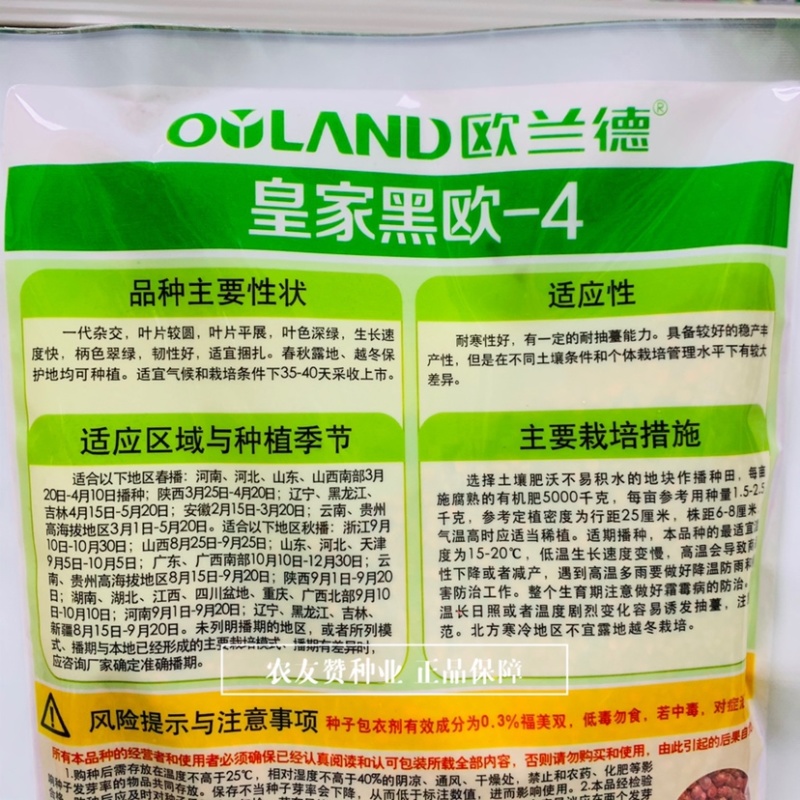 黑油亮菠菜种子直立紧凑易捆扎，皇家黑欧-4菠菜种子