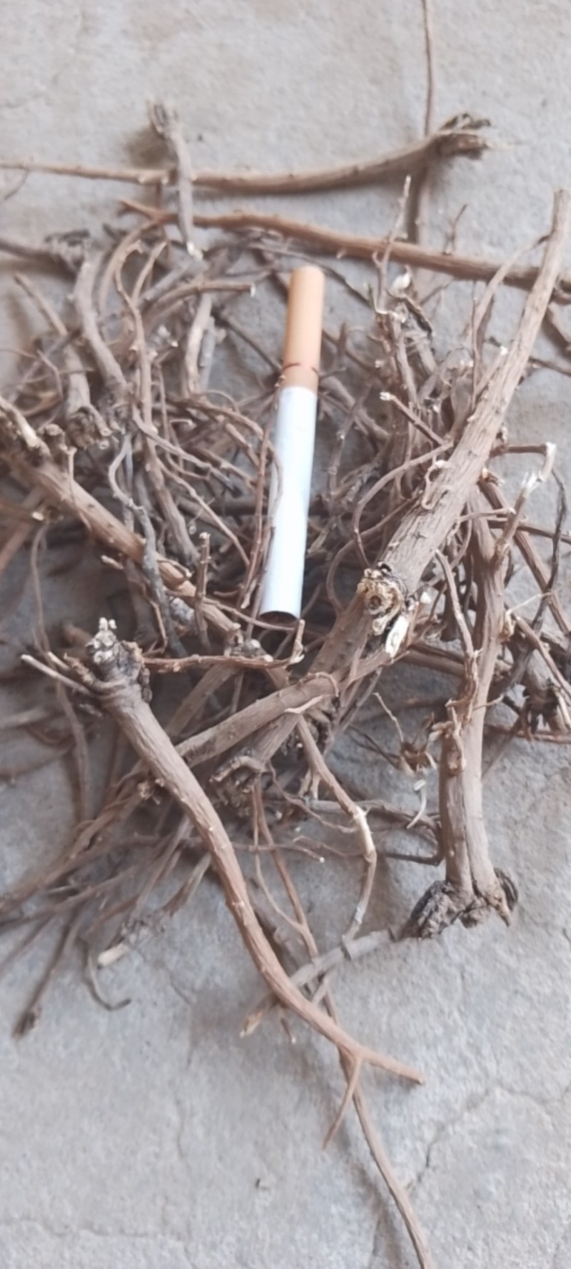黄芩，柴胡，丹参远志