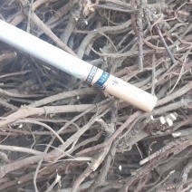 黄芩，柴胡，丹参远志