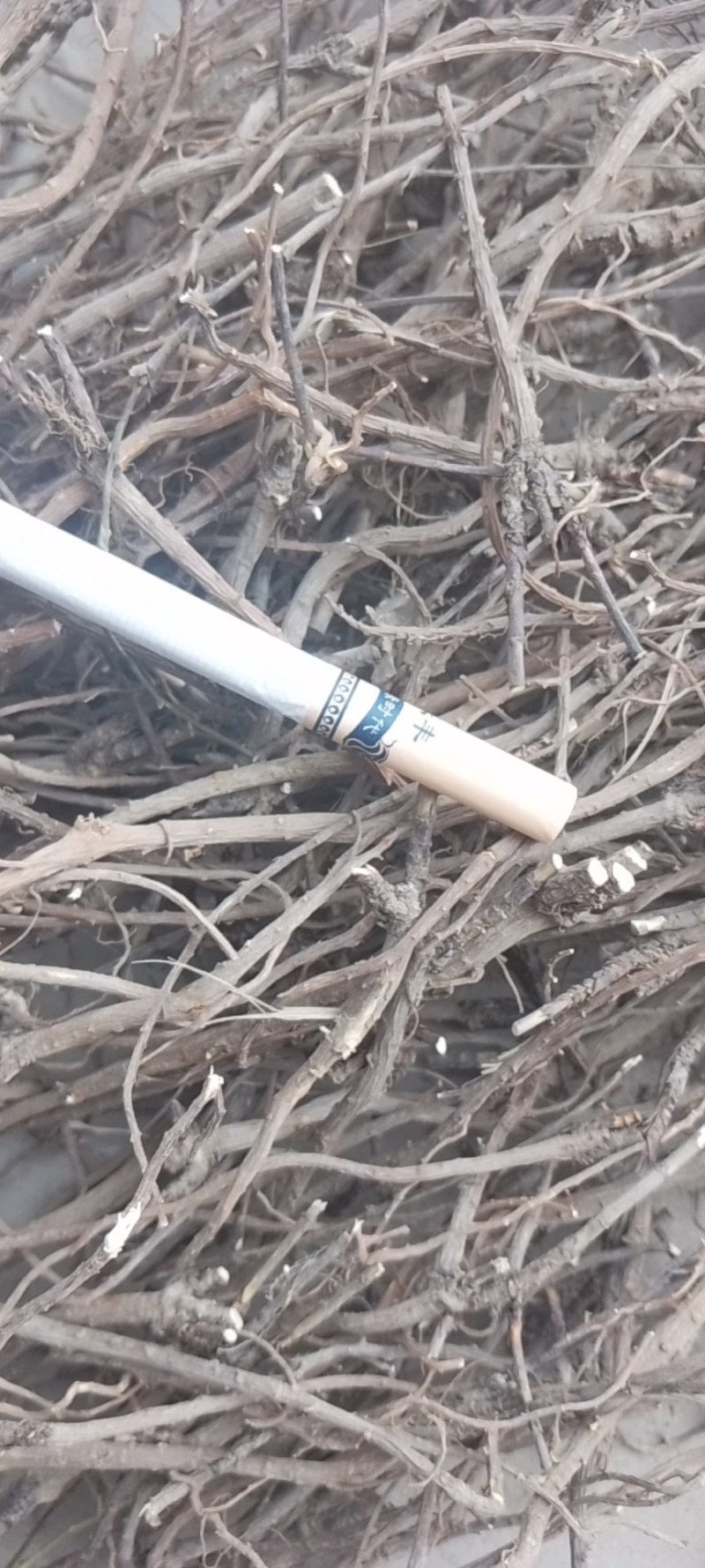 黄芩，柴胡，丹参远志