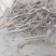 黄芩，柴胡，丹参远志