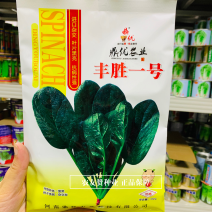 丹麦纯进口菠菜种子鼎优丰胜一号菠菜种子叶片厚黑油亮菠菜