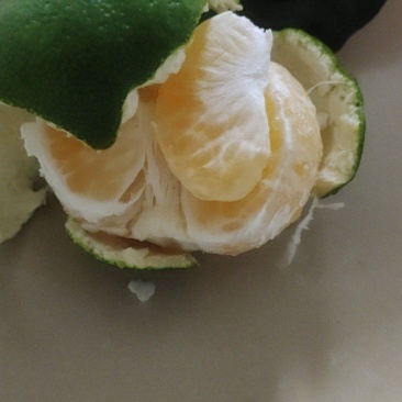 橘子，橙子等