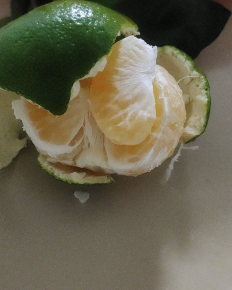 橘子，橙子等