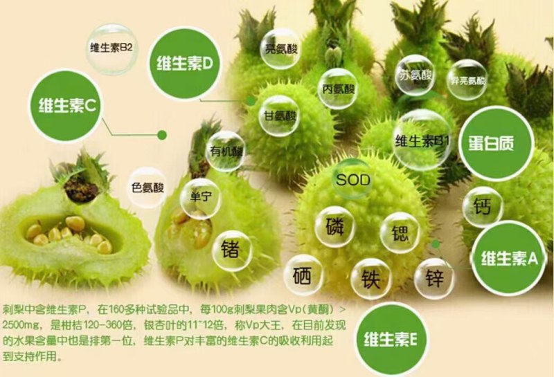 贵州刺梨，维C之王，冲出亚洲，走向世界