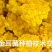 金耳菌