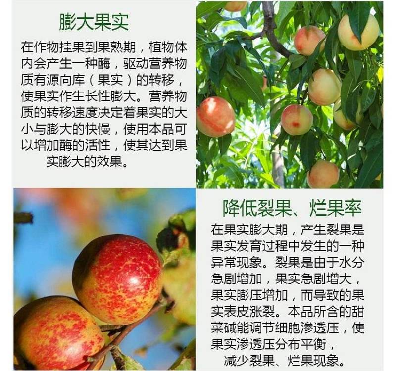 陶氏益农膨果膨大素叶面肥花芽分化柑橘草莓氨基酸水溶肥