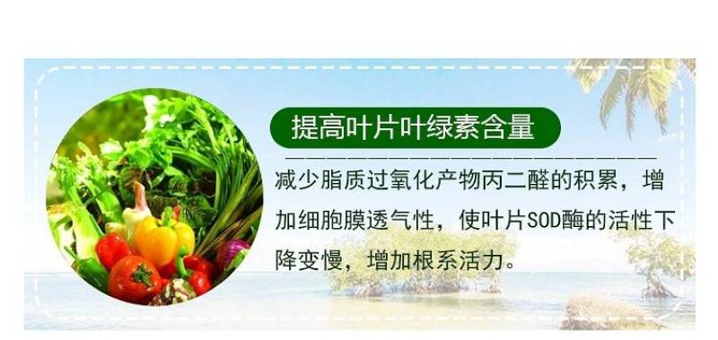 陶氏益农膨果膨大素叶面肥花芽分化柑橘草莓氨基酸水溶肥