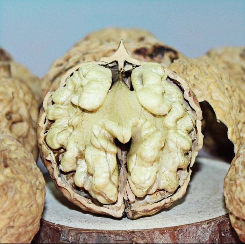 云南楚雄南华兔街薄皮核桃味道纯正绿色健康食品