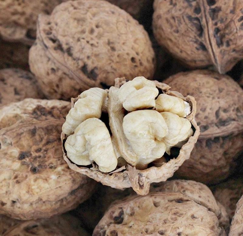 云南南华兔街原生态薄皮核桃味道纯正绿色食品