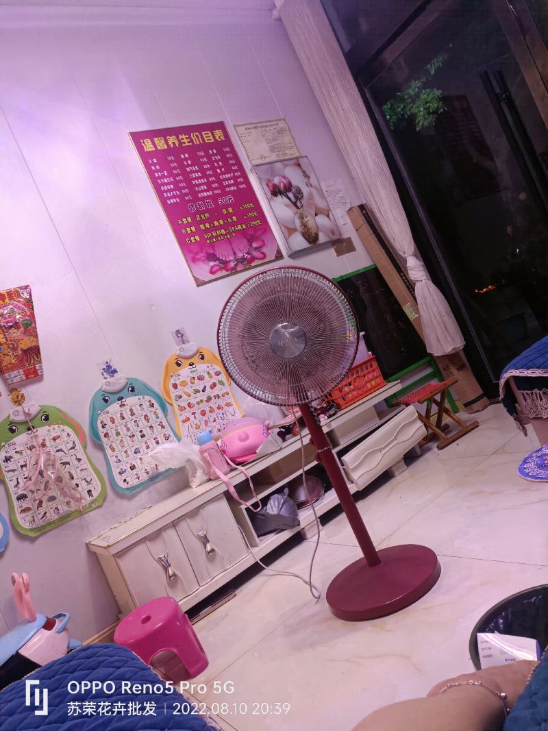 春秀耐抽苔青菜种子黑叶苏州青蔬菜种子产量高抗热耐寒四季播