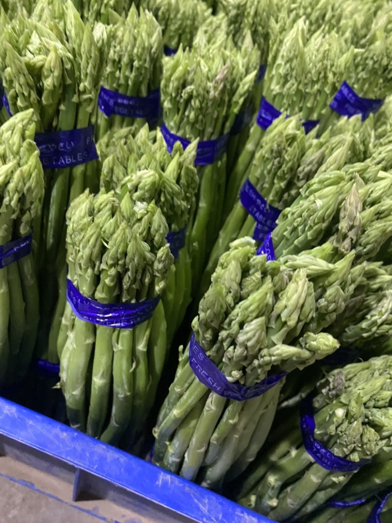 好品质值得信赖，基地直供欢迎选购