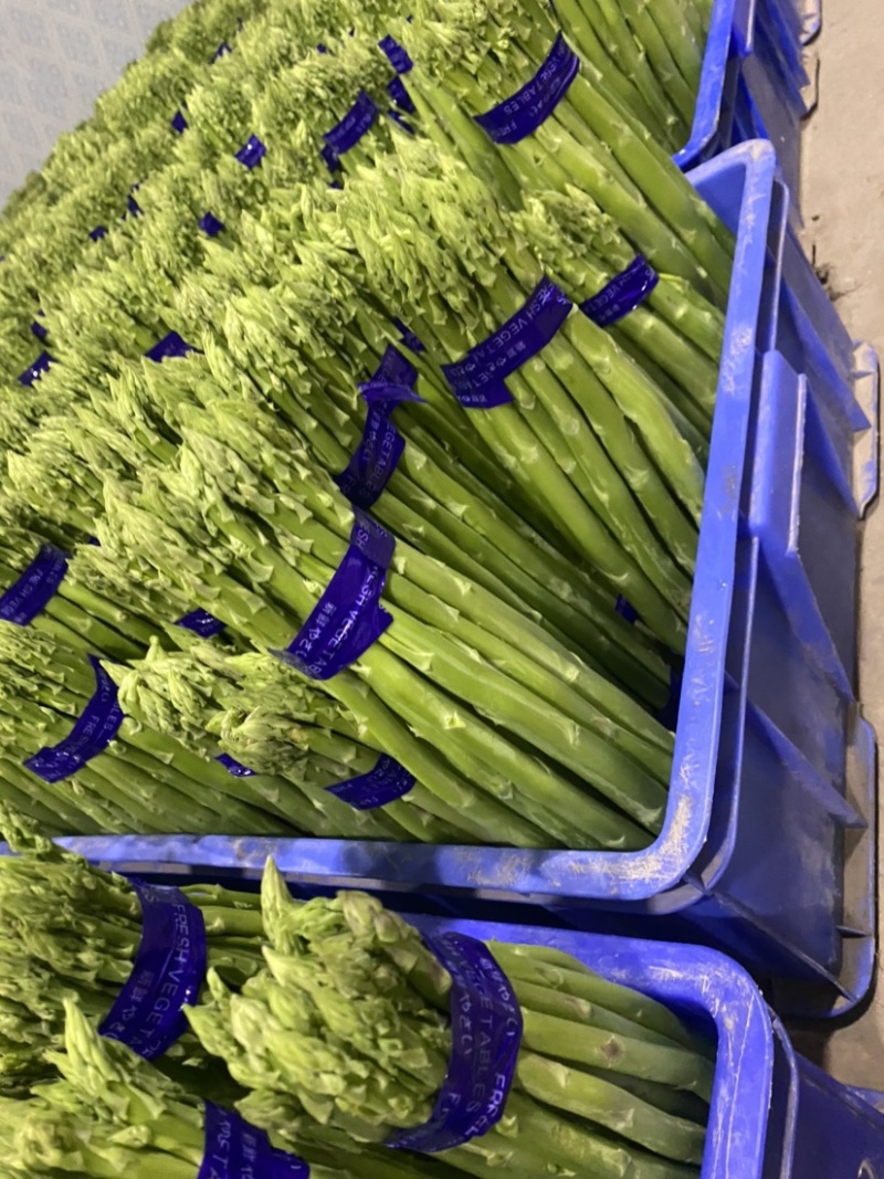 好品质值得信赖，基地直供欢迎选购
