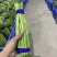 好品质值得信赖，基地直供欢迎选购