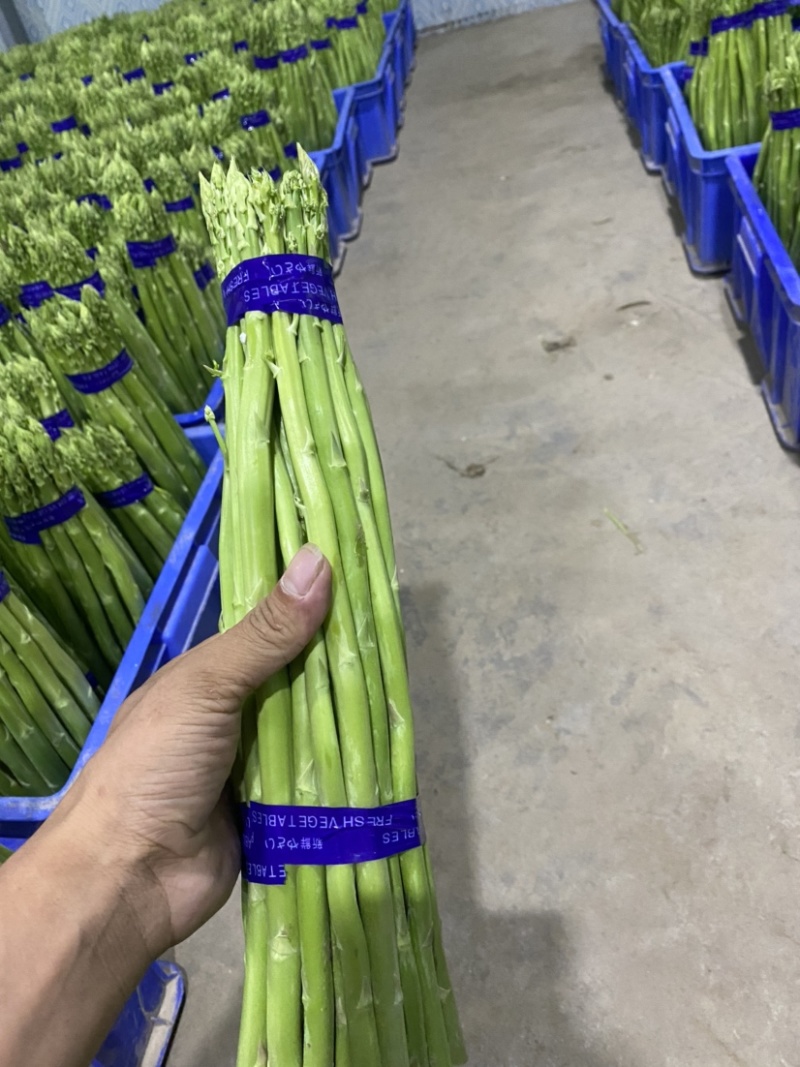好品质值得信赖，基地直供欢迎选购
