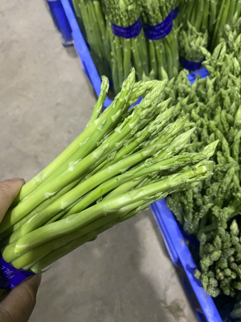 好品质值得信赖，基地直供欢迎选购