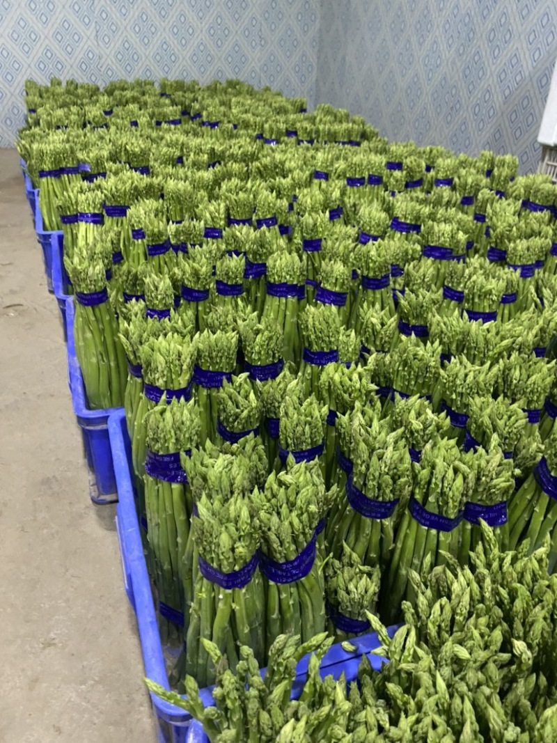 好品质值得信赖，基地直供欢迎选购
