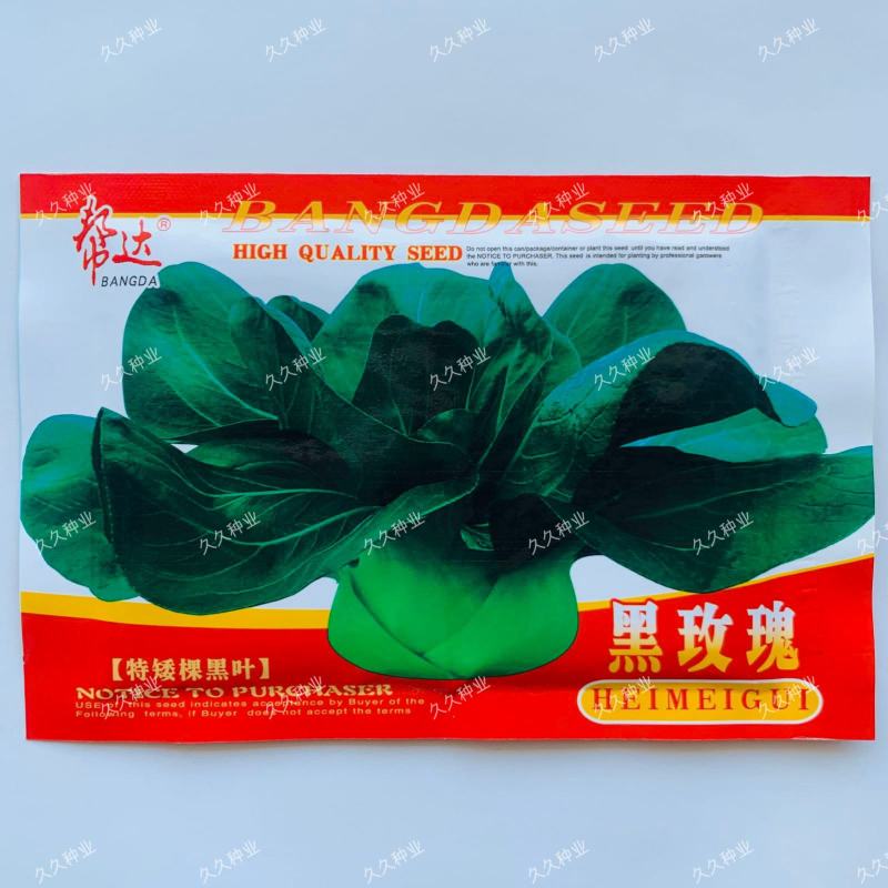 邦达黑玫瑰苏州青种子秋季播菜种晓富矮棵黑叶苏州青种籽孑