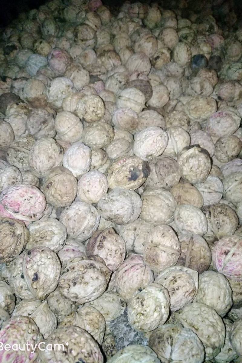 云南南华兔街原生态薄皮核桃味道纯正绿色食
