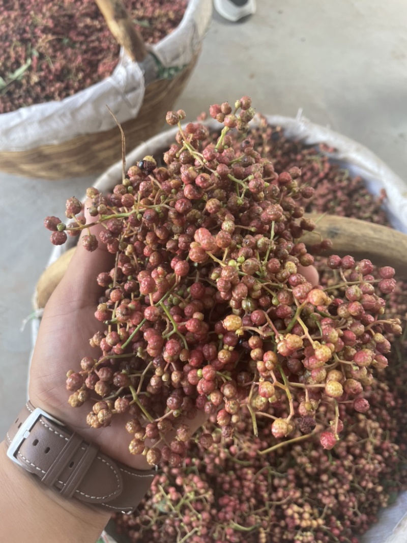 陕西鲜花椒大红袍产地供应质量保证货源稳定
