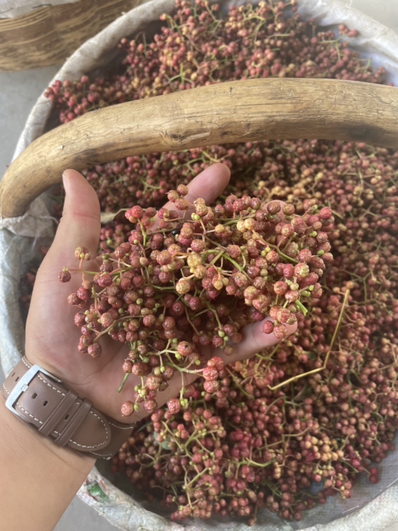 陕西鲜花椒大红袍产地供应质量保证货源稳定