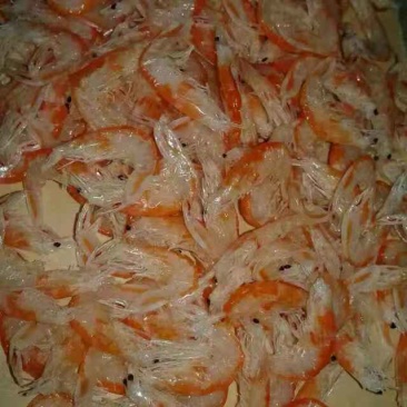 虾皮