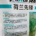 荷兰先锋菠菜种子国外引进优良菠菜种籽耐热耐寒性好