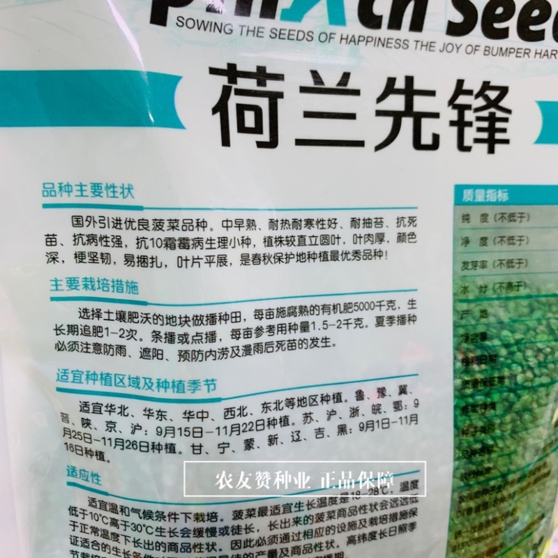 荷兰先锋菠菜种子国外引进优良菠菜种籽耐热耐寒性好