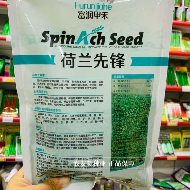 荷兰先锋菠菜种子国外引进优良菠菜种籽耐热耐寒性好