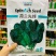 荷兰先锋菠菜种子国外引进优良菠菜种籽耐热耐寒性好