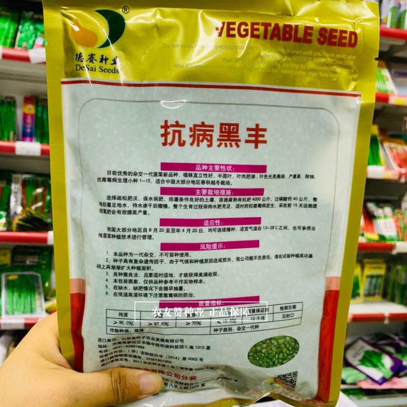 抗病黑丰菠菜种子纯进口种杂交一代黑叶菠菜种籽直立性好