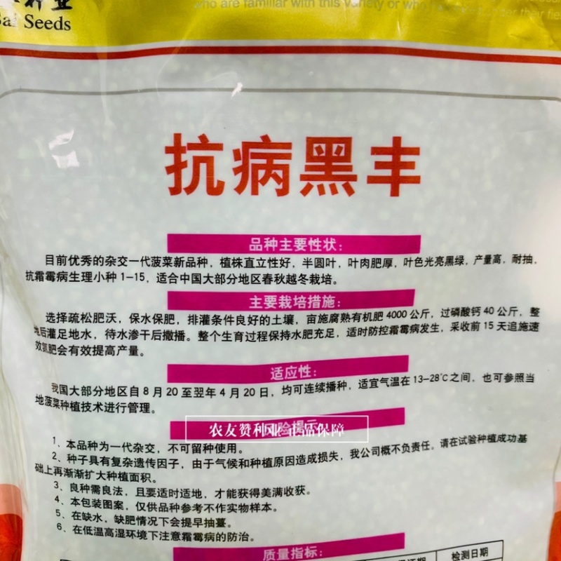 抗病黑丰菠菜种子纯进口种杂交一代黑叶菠菜种籽直立性好