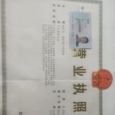 饲料螺蛳，江西薄壳石螺，规格比钢板硬。
