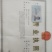 饲料螺蛳，江西薄壳石螺，规格比钢板硬。