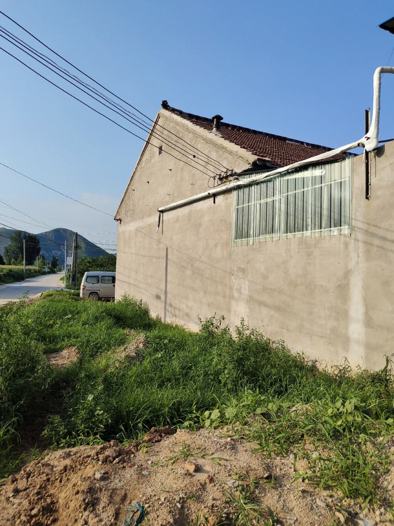 河北省唐山市丰润区万亩桃园欢迎您朋友