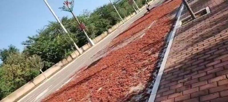 韩城市红花椒【2022新货】【色红味麻】【原色原味】纯货