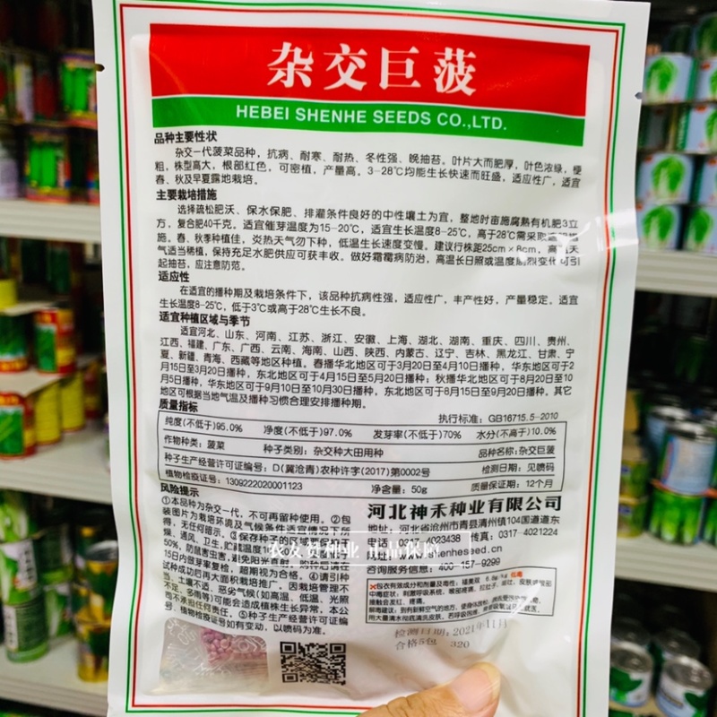 杂交巨菠菠菜种子大叶肥厚浓绿抗病菠菜种子根部红色